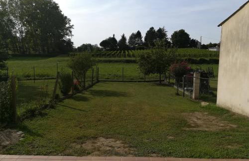 Gîte du vignoble Sidky - Foto 3
