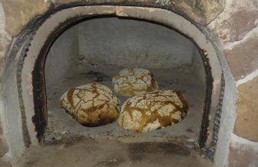 Wickys Igelnest - Foto 20