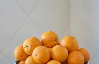 Vieira beach house apartment with sea view - Foto 66