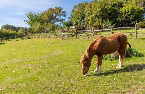 Gîte Le Bouton D'or 8min Puy du Fou - Foto 15