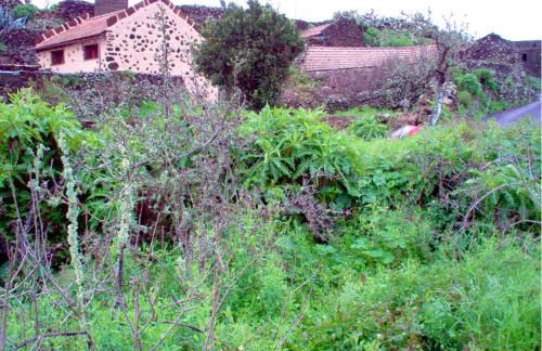 Charming house in Isora with mountain view - Foto 16