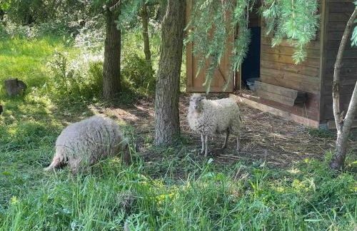 Chez colette - Foto 19