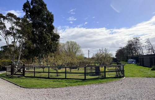Peacock Barn - Photo 11