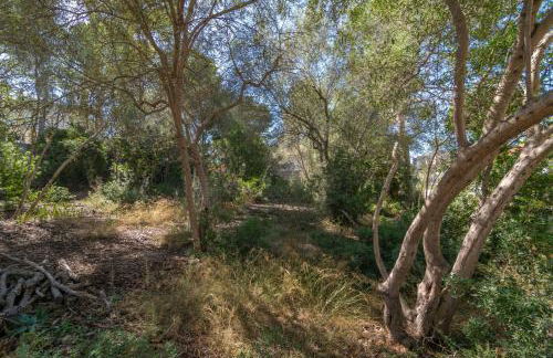 Villa Maria 6 in Bendinat - Foto 81