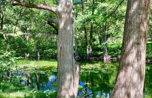 Sparkling Frio - Foto 25