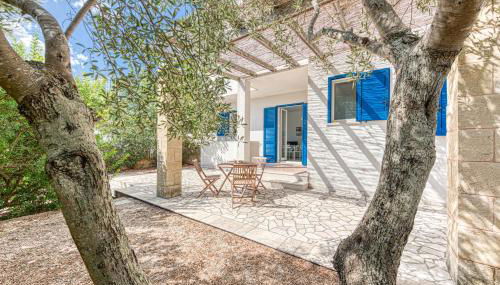 L'ulivo di Novaglie - Foto 1