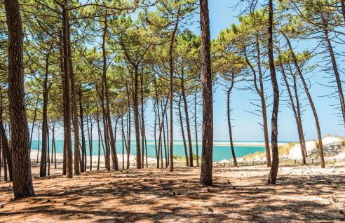 Nice Home In Lege-Cap-Ferret With Wifi - Foto 27