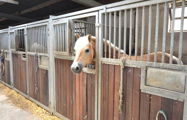 Holiday Home Near Dusseldorf Exhibition Centre - Foto 14