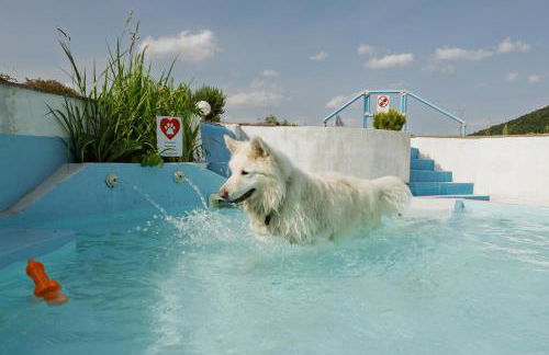 Agriturismo Carincone - Foto 67