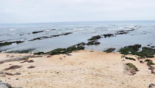 Vila Oceânica 1 - Foto 2