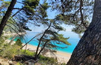 appartamento in contesto esclusivo in pieno centro - Foto 22