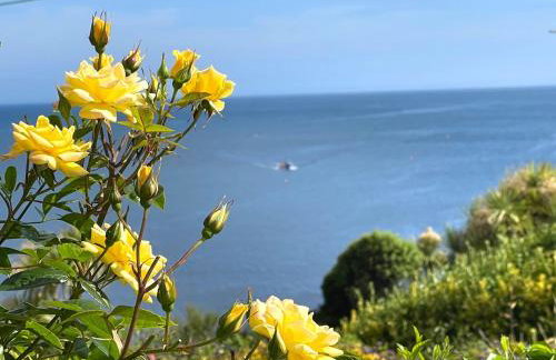 Mousehole Cottage - Photo 6