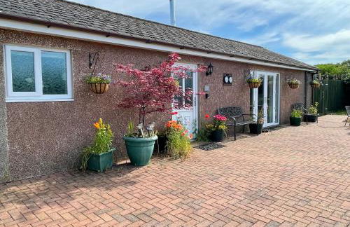 Blackthorn Meadow - Photo 8