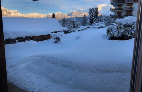 La marmotte: Vue Mont Blanc, terrasse, parking - Foto 3