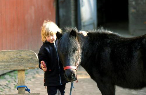 Hof Osterbunsbüll - Foto 11