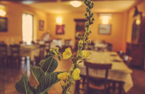 Agriturismo I Surì Asti - Foto 23