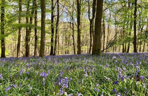 The Mill Stylish Rural Apartment with Beautiful Views - Foto 39