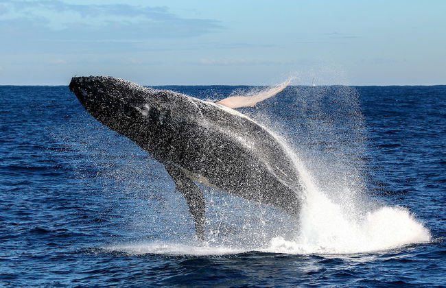 On the Beach Getaway - Photo 14