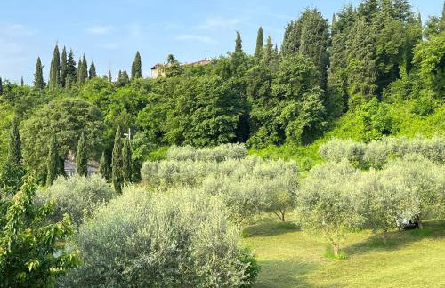Agriturismo Val - Foto 6