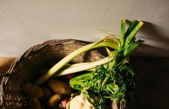 Krasospito 1850 - a Corfiot Wine House Reborn - Foto 45