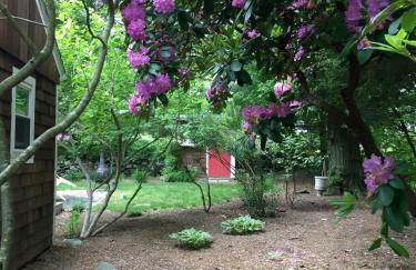 The Beach Gallery - Foto 16