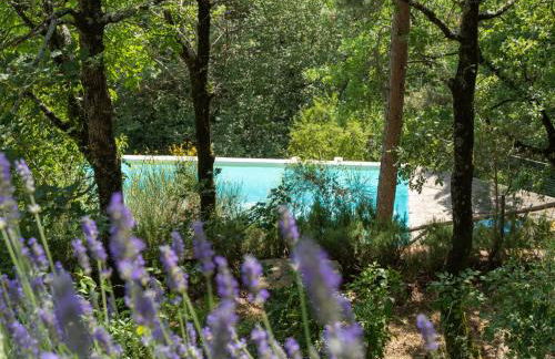 Villa San Leolino by Interhome - Foto 64