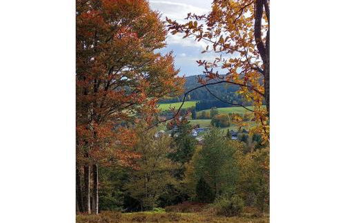 Country house on the Dachsberg - Foto 18