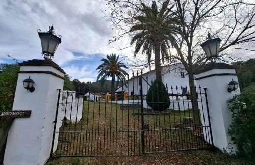 Finca Fuentezaos Cortijo Las Palmeras - Foto 4