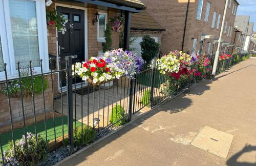 Driver Way - Photo 32