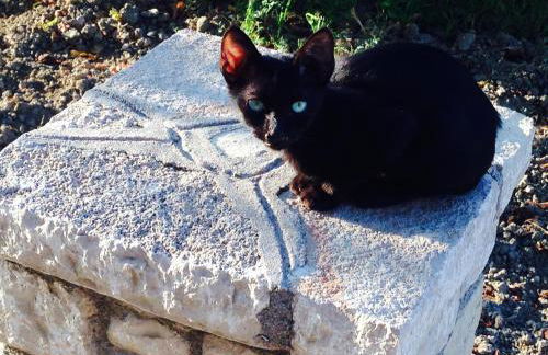 Anemos Apartments - Foto 30