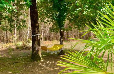 House de la Canopée, Swimming pool, Lake, Forest, large garden and WIFI - Foto 34