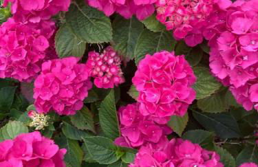 Marie Carla - Foto 55