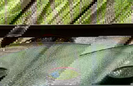 Woods Song - Natures Promise - Foto 32