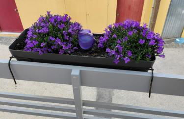 The Violet House - Foto 6