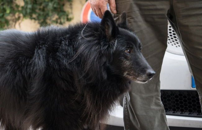 Relais Villa Gandoli - Photo 18