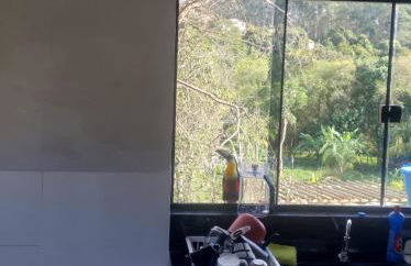 Casa Jaguary com jacuzzi - Monte Verde - Foto 7