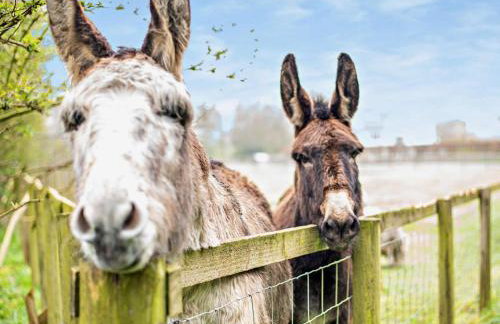 2 Bed in Maryport oc-91132 - Foto 33