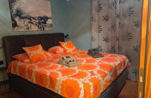 App Mariuccia - Foto 14