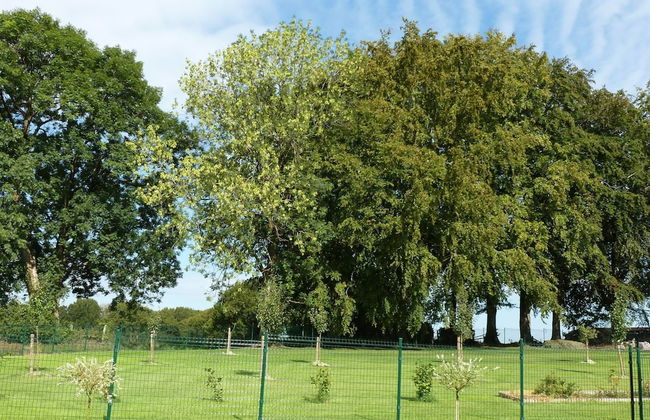 Cozy Nimbermont Home - Photo 39