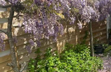 La Villa d'Anna, une décoration très tendance ! - Foto 22