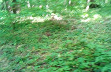 Appartementt à louer à Rennes - Photo 4