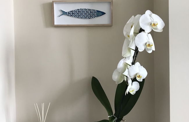 Bluripa Guest House - Foto 30