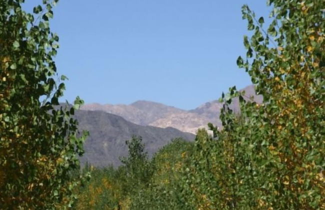 Cabañas Uspallata - Foto 18