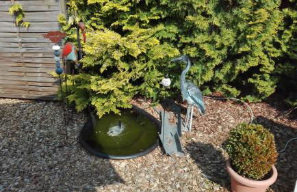 Ferienwohnungen Paul und Dorothea - Foto 53