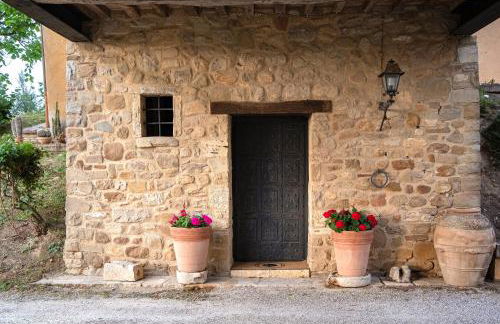 Agriturismo Le Cerque - Photo 4