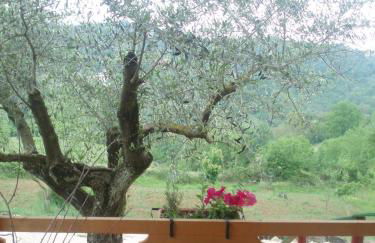 Agriturismo Cisogna - Foto 86