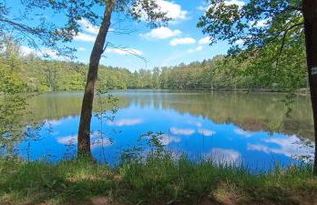 Ferienwohnung Gentsch in Schmannewitz - Foto 73