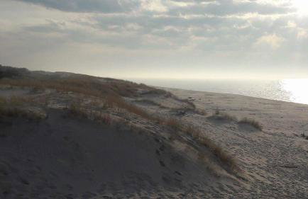 Domek letniskowy - Foto 24