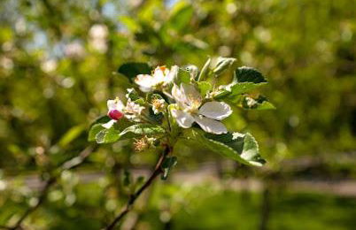 Kuća za odmor Šegota - Photo 37