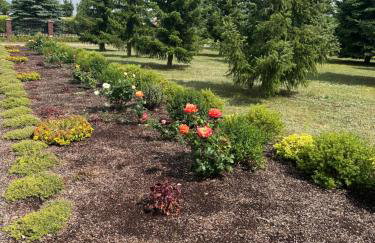 Sielski Zakątek - Foto 25